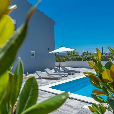 Black&beauty * 扎达尔