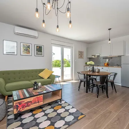 Black&beauty 扎达尔