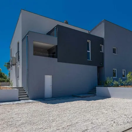 Black&beauty * 扎达尔