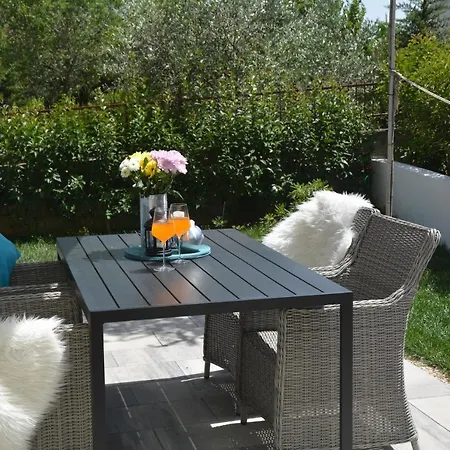 Black&beauty 扎达尔