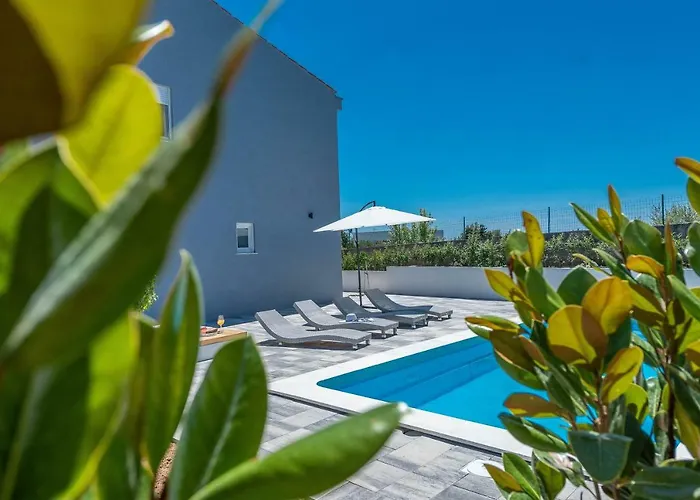 Black&beauty * Zadar