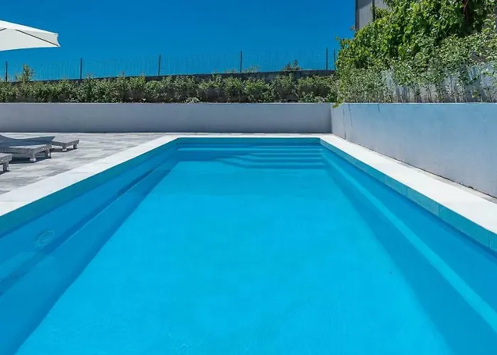 Black&beauty ザダル